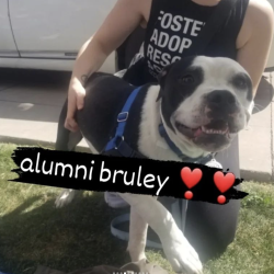 Alumni Bruley